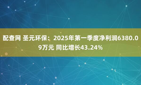 配查网 圣元环保：2025年第一季度净利润6380.09万元 同比增长43.24%