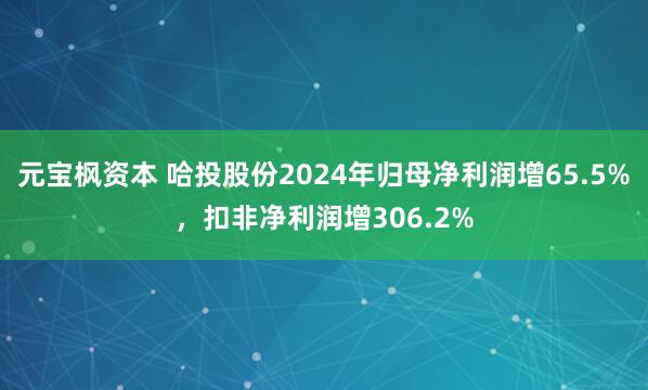 元宝枫资本 哈投股份2024年归母净利润增65.5%，扣非净利润增306.2%