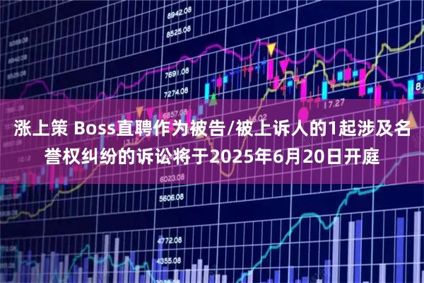 涨上策 Boss直聘作为被告/被上诉人的1起涉及名誉权纠纷的诉讼将于2025年6月20日开庭